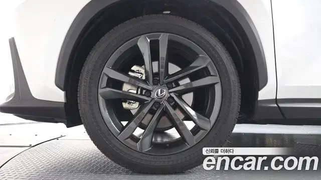 Lexus NX350h 2025 — Şəkil 15/36