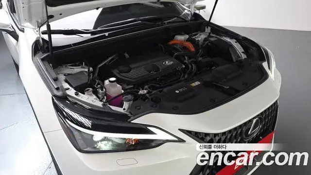 Lexus NX350h 2025 — Şəkil 21/36