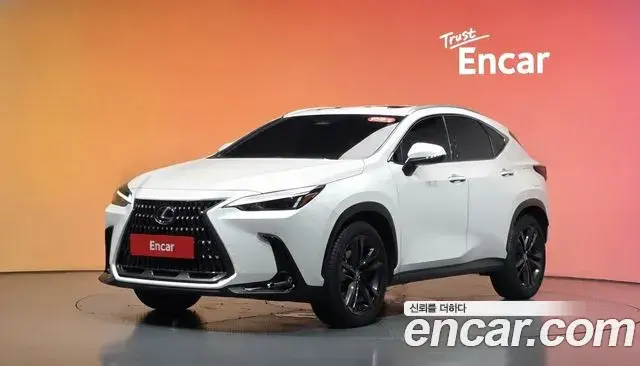 Lexus NX350h 2025 — Şəkil 19/36