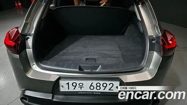 Lexus UX250h 2019 — Şəkil 8/31