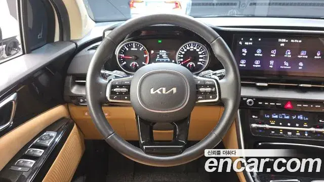 Kia Carnival 2022 — Фото 12/20