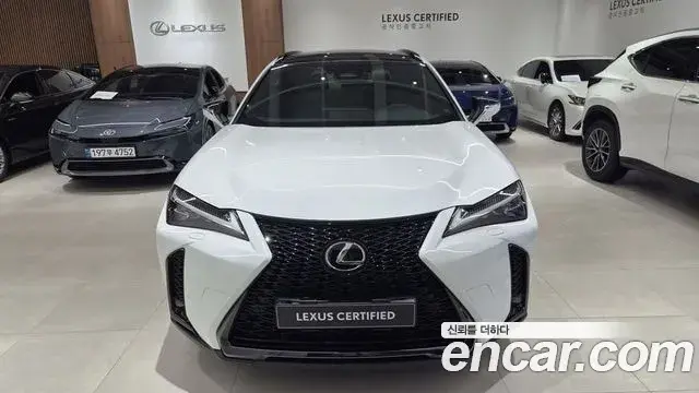 Lexus UX300h 2025 — ფოტო 14/20