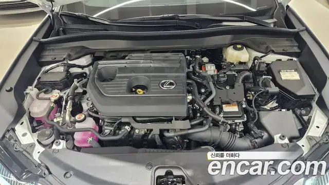 Lexus UX300h 2025 — ფოტო 8/20