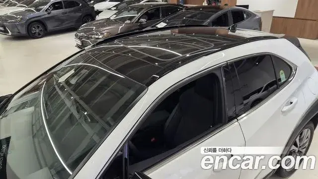 Lexus UX300h 2025 — ფოტო 19/20