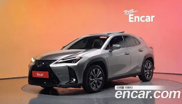Lexus UX250h 2021 — Şəkil 7/30