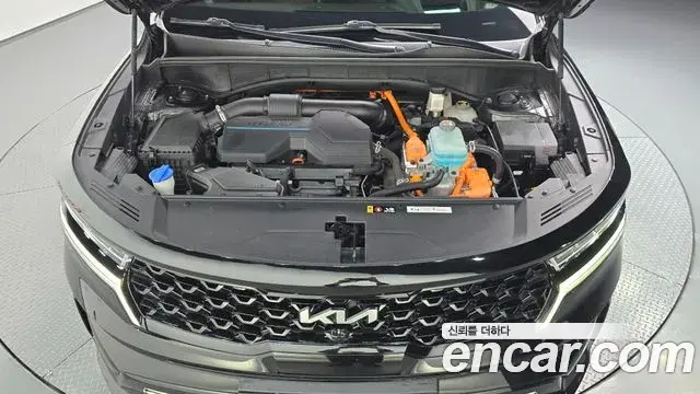 Kia Sorento 2021 — Фото 6/20