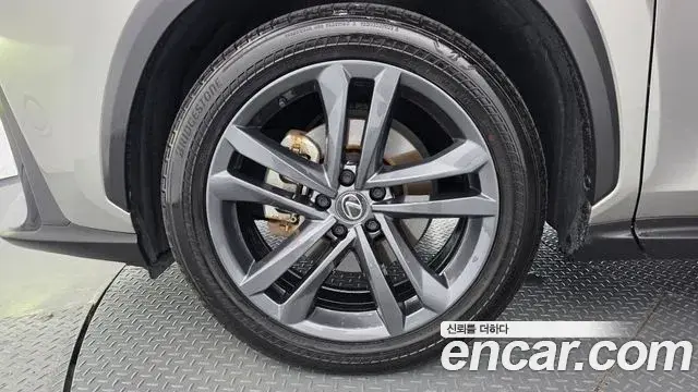 Lexus NX350h 2023 — ფოტო 10/34