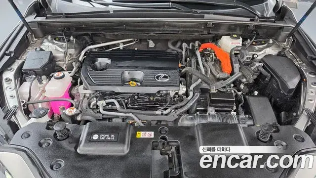 Lexus NX350h 2023 — ფოტო 28/34