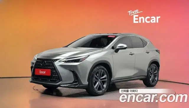 Lexus NX350h 2023 — ფოტო 31/34