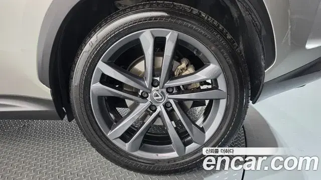 Lexus NX350h 2023 — ფოტო 16/34