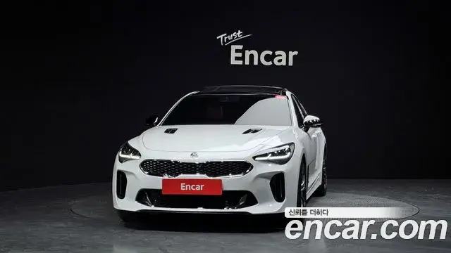 Kia Stinger 2020 — ფოტო 5/20