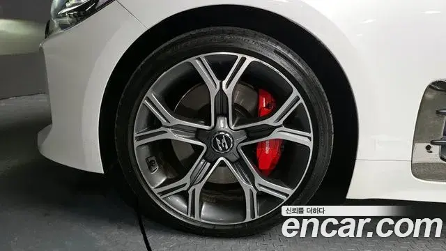 Kia Stinger 2020 — ფოტო 16/20