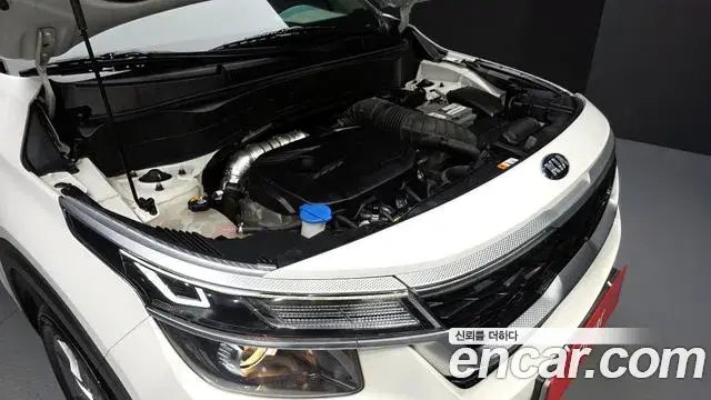 Kia Seltos 2021 — ფოტო 5/20