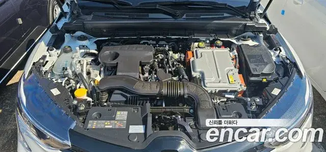 Renault Samsung Arkana 2024 — Photo 11/20