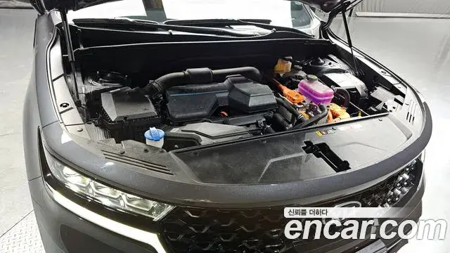 Kia Sorento 2021 — Фото 6/20