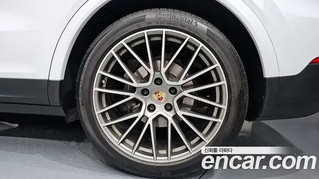Porsche Cayenne 2022 — ფოტო 11/30
