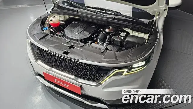 Kia Carnival 2022 — ფოტო 20/30