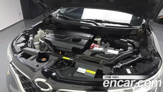 Renault Samsung QM6 2020 — ფოტო 4/32
