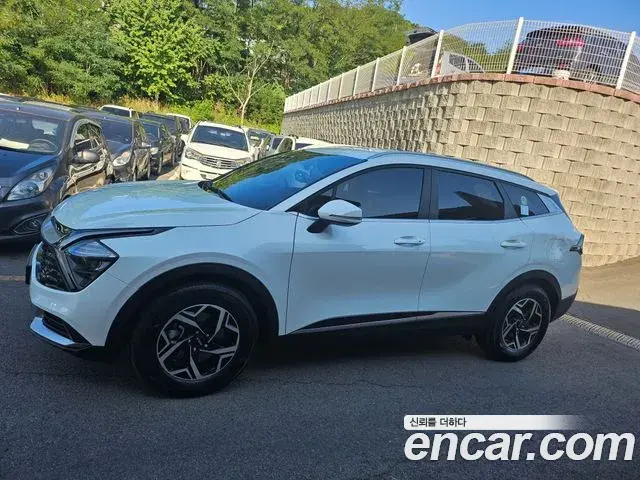 Kia Sportage 2023 — Фото 2/19