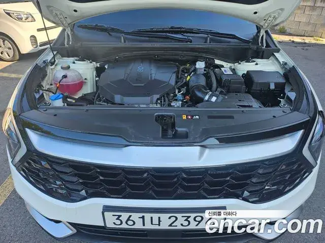 Kia Sportage 2023 — Фото 19/19