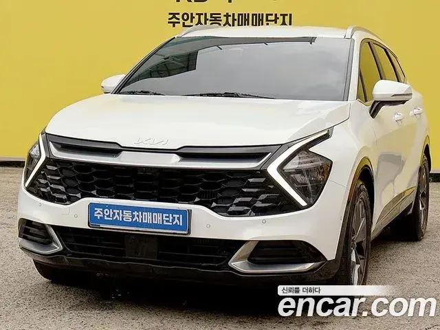 Kia Sportage 2022 — Фото 1/20