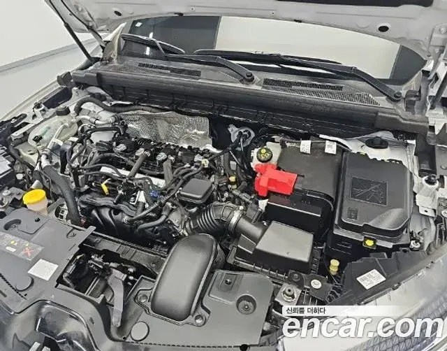 Renault Samsung Arkana 2024 — ფოტო 19/20