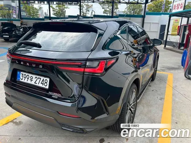 Lexus NX350h 2025 — Фото 1/11