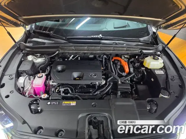Lexus RX350h 2025 — ფოტო 7/18