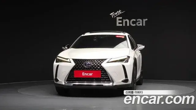 Lexus UX250h 2019 — Фото 3/20