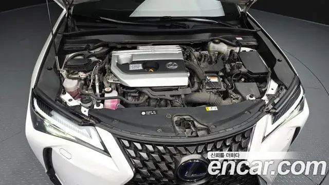 Lexus UX250h 2019 — Фото 6/20