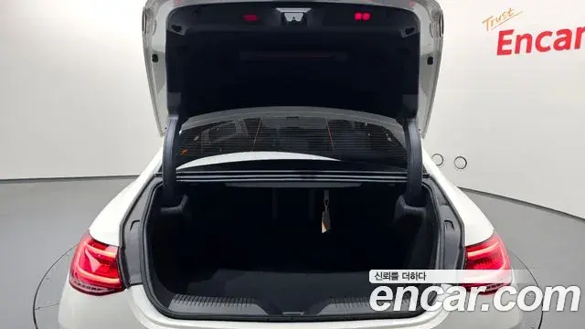 Mercedes-Benz CLS-Class 2020 — ფოტო 13/20