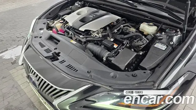 Lexus ES300h 2021 — Şəkil 5/20