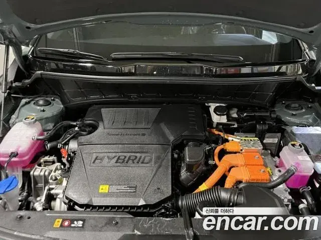 Kia Niro 2025 — Şəkil 7/19