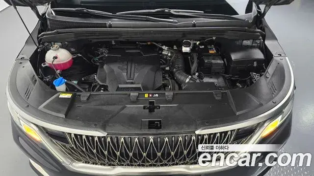 Kia Carnival 2023 — ფოტო 27/31