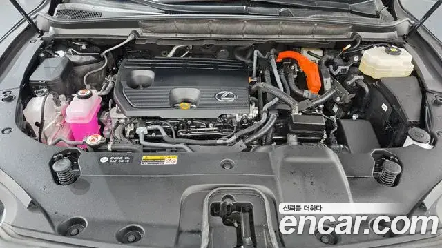 Lexus RX350h 2024 — ფოტო 1/20