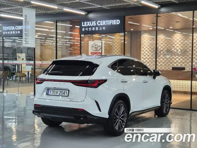 Lexus NX350h 2026 — Фото 1/20