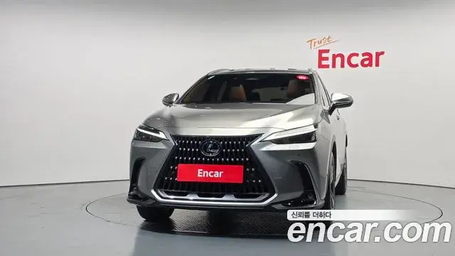 Lexus NX350h 2024 — Şəkil 17/32