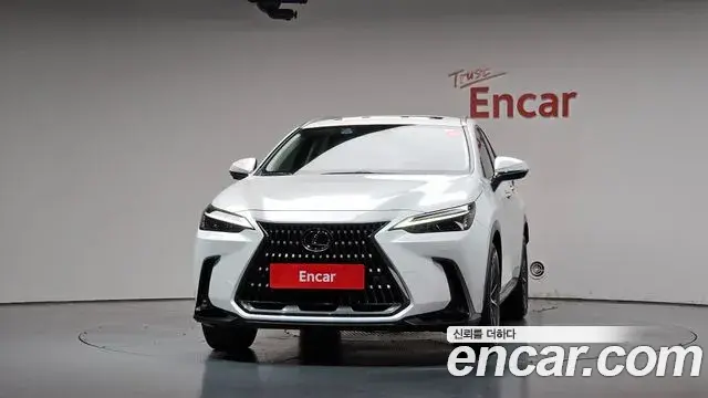 Lexus NX450h+ 2022 — Photo 8/38