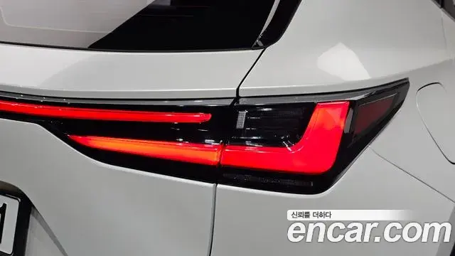Lexus NX450h+ 2022 — Photo 19/38