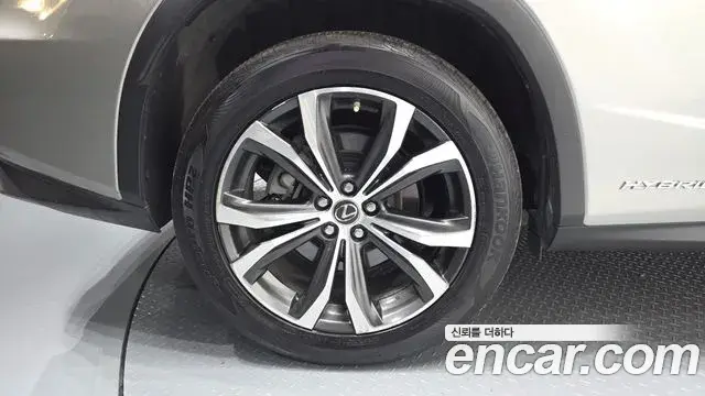 Lexus RX450h 2019 — Photo 19/37