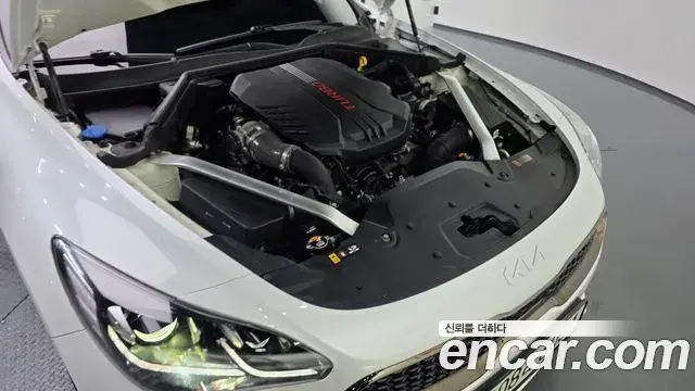 Kia Stinger 2021 — Photo 6/20