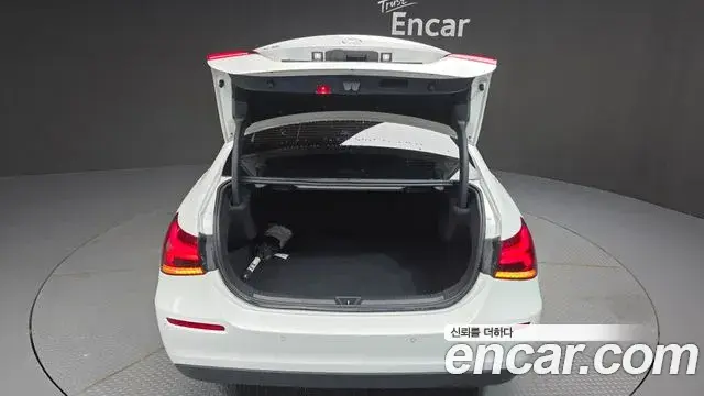 Mercedes-Benz A-Class 2020 — ფოტო 14/20