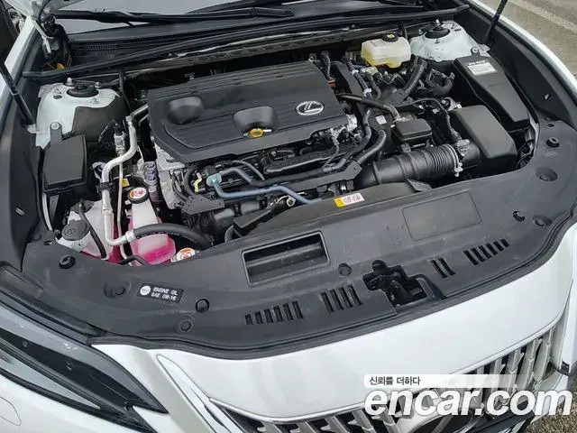 Lexus ES300h 2025 — Photo 5/20