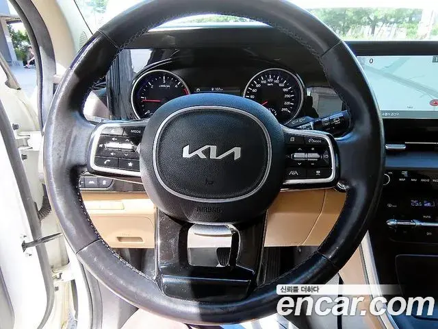 Kia Carnival 2021 — Фото 8/19