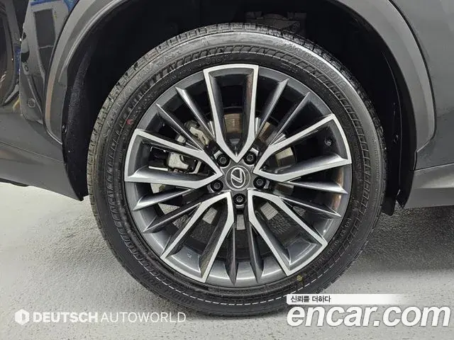 Lexus NX350h 2025 — Фото 4/20