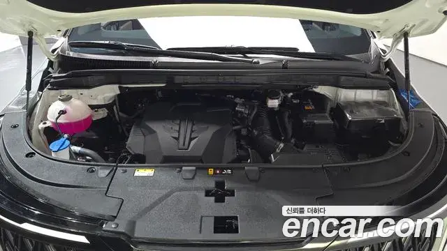 Kia Carnival 2024 — Photo 6/20