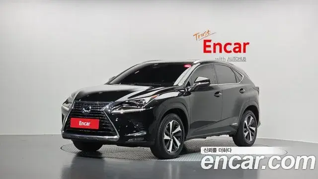 Lexus NX300h 2021 — Photo 1/20