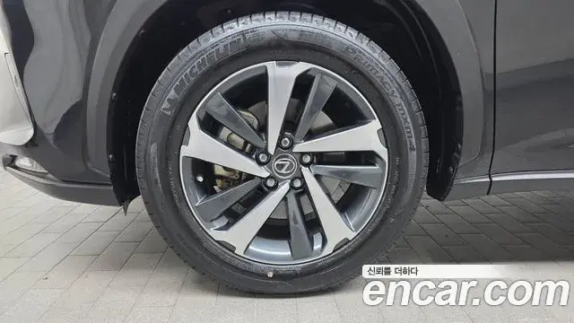 Lexus NX300h 2021 — Photo 5/20