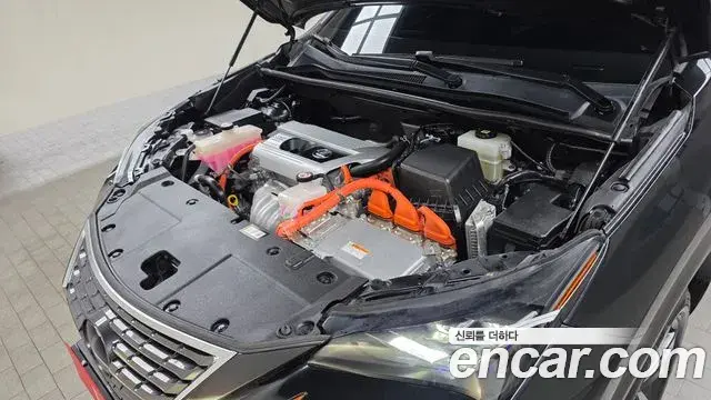 Lexus NX300h 2021 — Photo 6/20