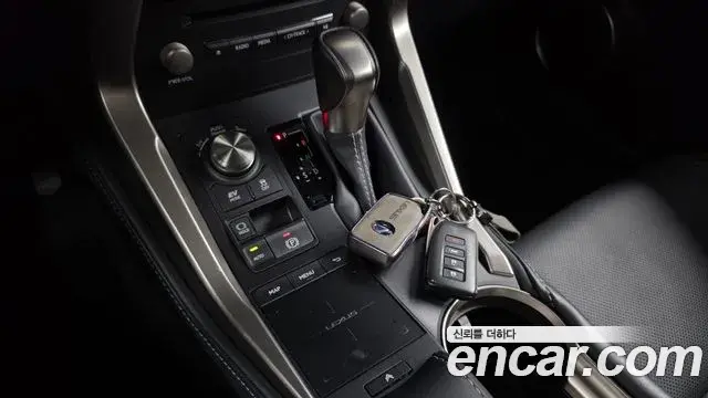 Lexus NX300h 2021 — Photo 9/20